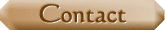 contact button