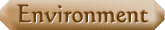 environment button
