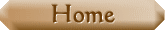 home button